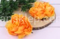 IMG_6022k.JPG