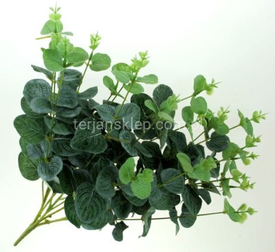 Bukiet eukaliptusa LIU007 green
