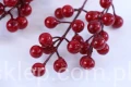 30441.JPG