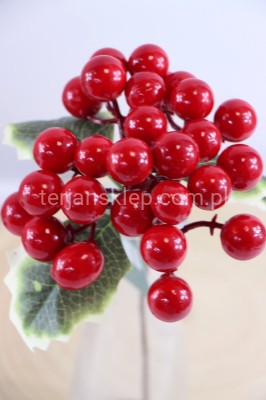 Pik z jarzębiną CV37094