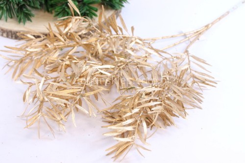 30750.JPG