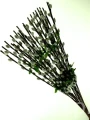 9f8047bb3adc9c88a98afb5ed59bbd06bc8f7f0e