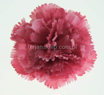 Goździk W-099 / K087 (24 szt) aut pink