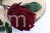 31059.JPG