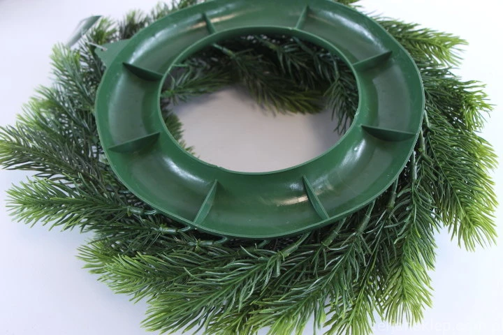 31464.JPG