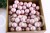 31553.JPG