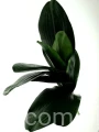 f7bf8602d7ee86c010cff9f0e13b86fb5a39b1a0