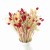 Bukiet-suszonych-kwiatow-NaturalRed.jpg