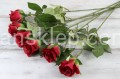 IMG_2946.JPG