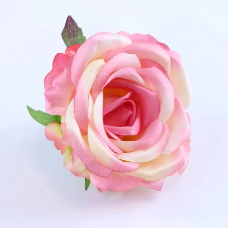 32187.JPG