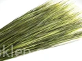 f20b116fd8a85dd48a30b52f9494bd6b01b59121