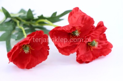 Kwiat polny JH075 MAK