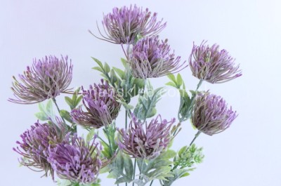 Bukiet ostów JH165 violet