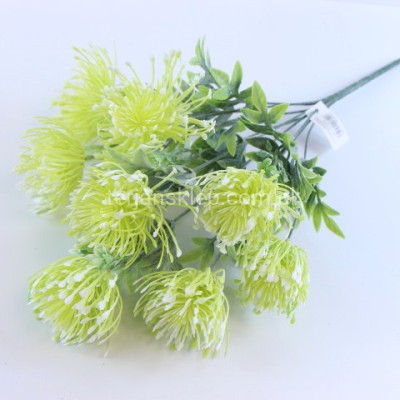 Bukiet ostów JH165 mint