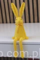 32281.JPG