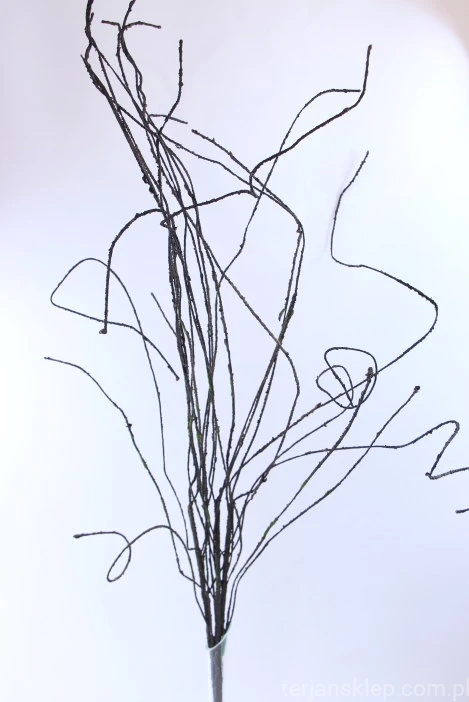 32540.JPG