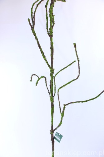 32544.JPG