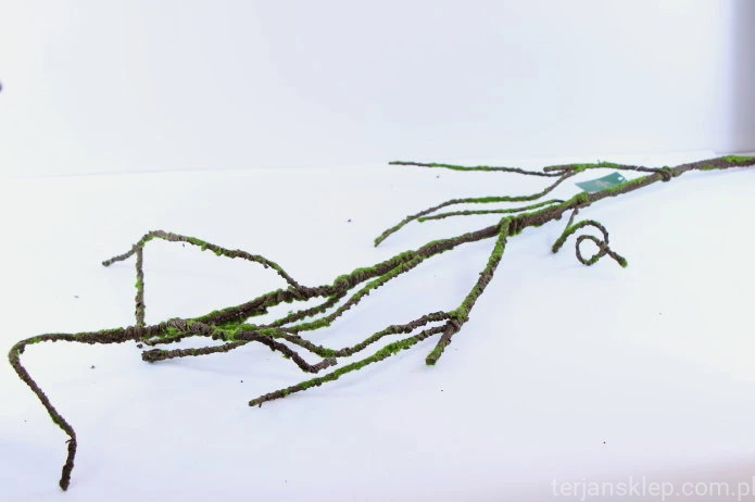 32559.JPG