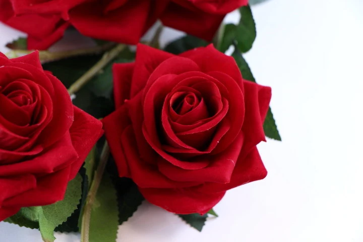 32486.JPG