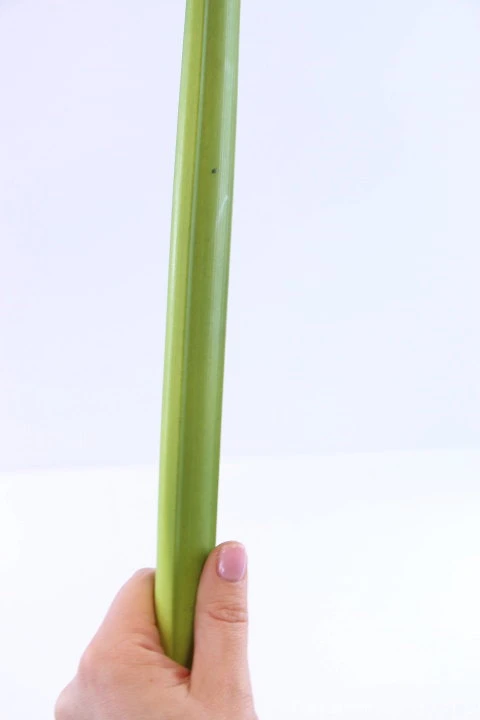 32665.JPG