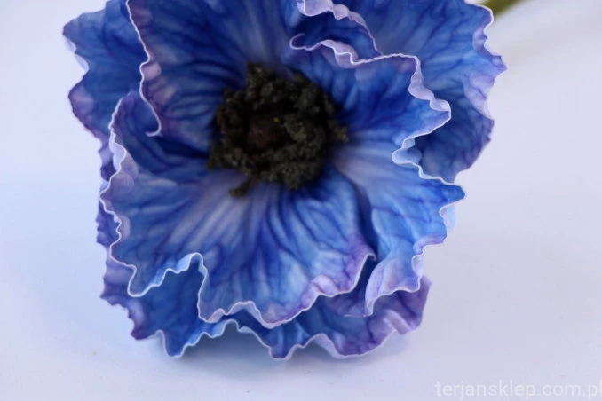 32687.JPG