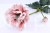 32703.JPG