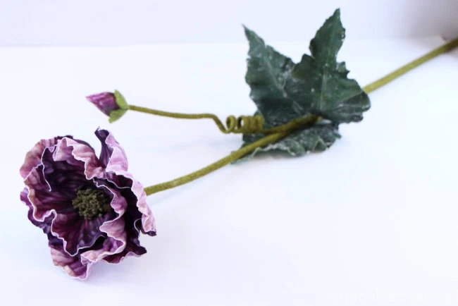 32697.JPG