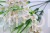 32805.JPG