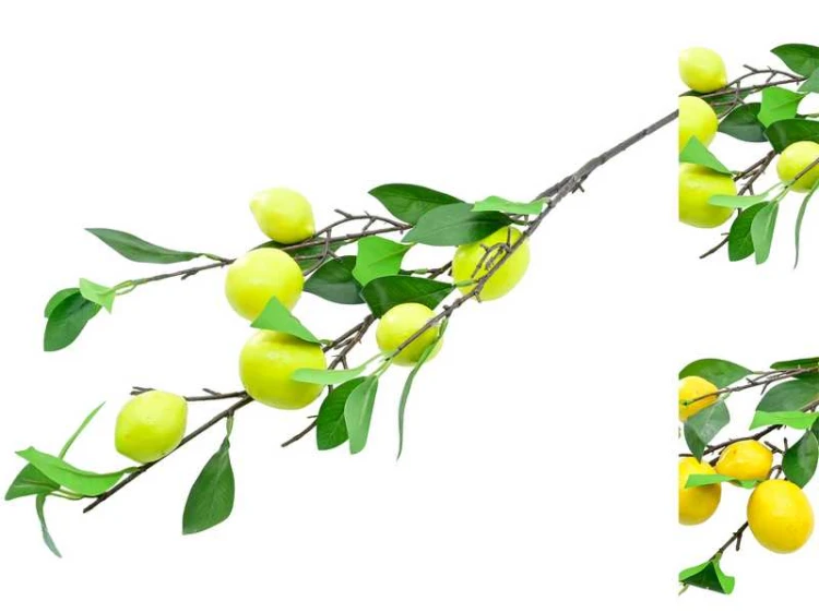 cv34828-mix.jpg