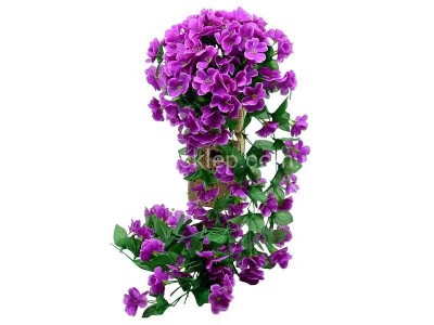 Zwis pelargonii CV34847 violet #6