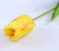33075.JPG