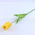 33076.JPG