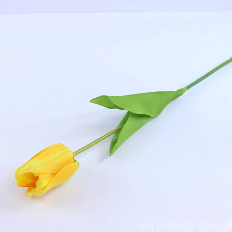 33076.JPG