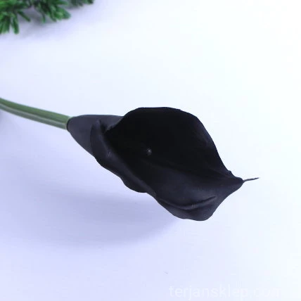 33321.JPG
