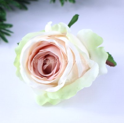 Róża wyrobowa SUN388 (12 szt) cream lt green #1453