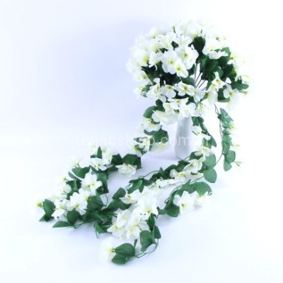 Zwis pelargonii CV34847 cream #1