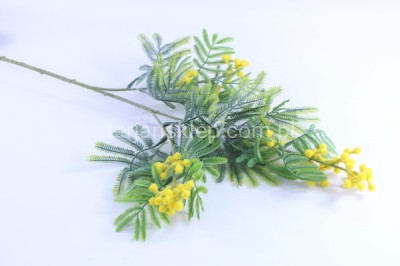 Mimoza gałązka TIK191 yellow