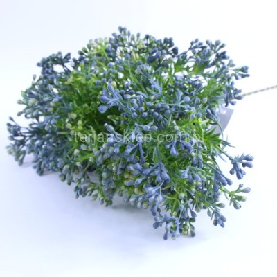 Pięknotka wiązka LIU432 (12 szt) blue/violet