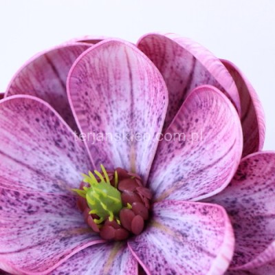 Magnolia wyrobowa PIANKA LY2023 701H pink #4