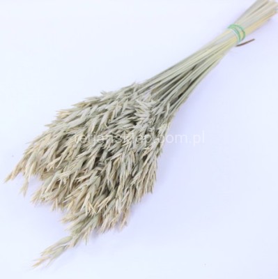 Owies (pęczek) naturalny