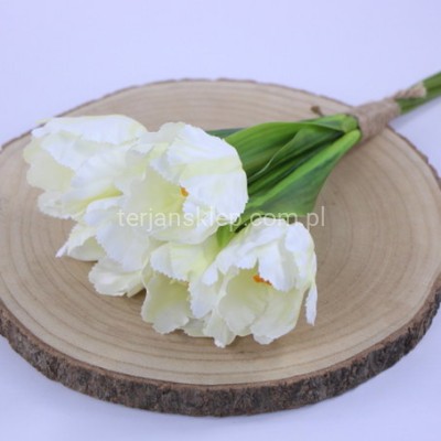 Tulipan wiązka 50 194 cream #1