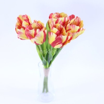 Tulipan wiązka 50 194 yellow red #7
