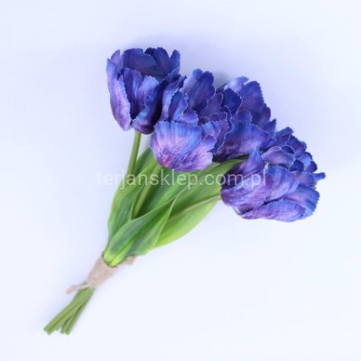 Tulipan wiązka 50 194 ultra violet #12