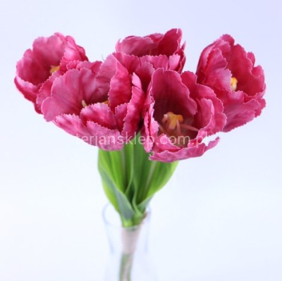 Tulipan wiązka 50 194 beauty #4