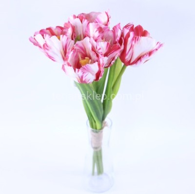 Tulipan wiązka 50 194 cream red #5