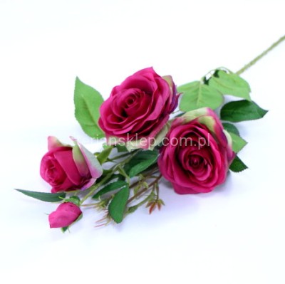 Róża gał. SUN880 fuchsia #2045