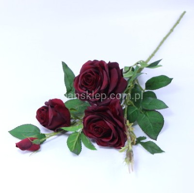 Róża gał. SUN880 burgundy #2253