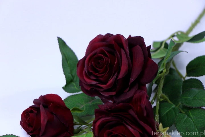 33590.JPG