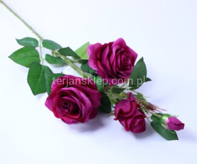 Róża gał. SUN880 sweet fuchsia #3004