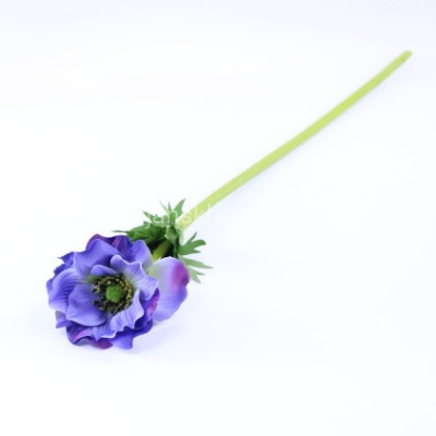 Anemon gał. SUN556 ultra violet #2380 / ass#2